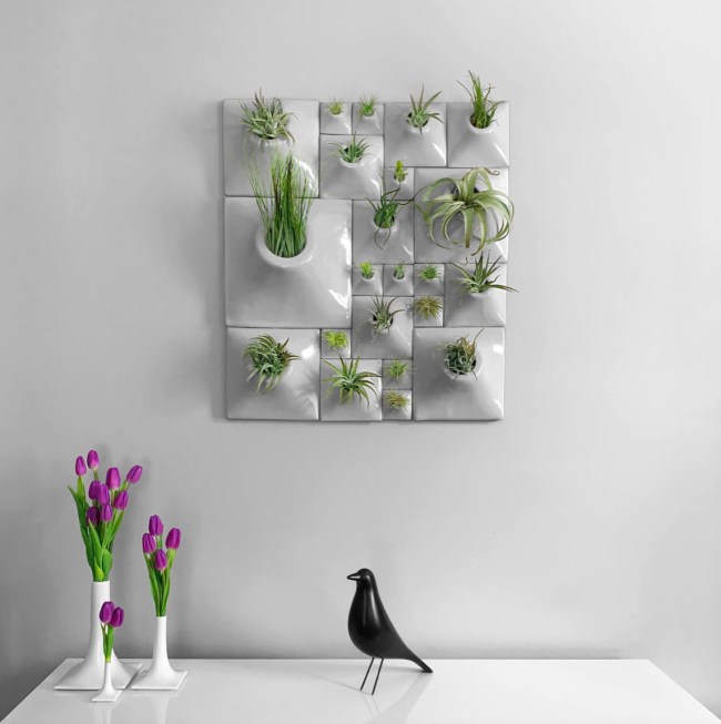 Arrangeable Wall Planters by David Rozek | Moss and Fog