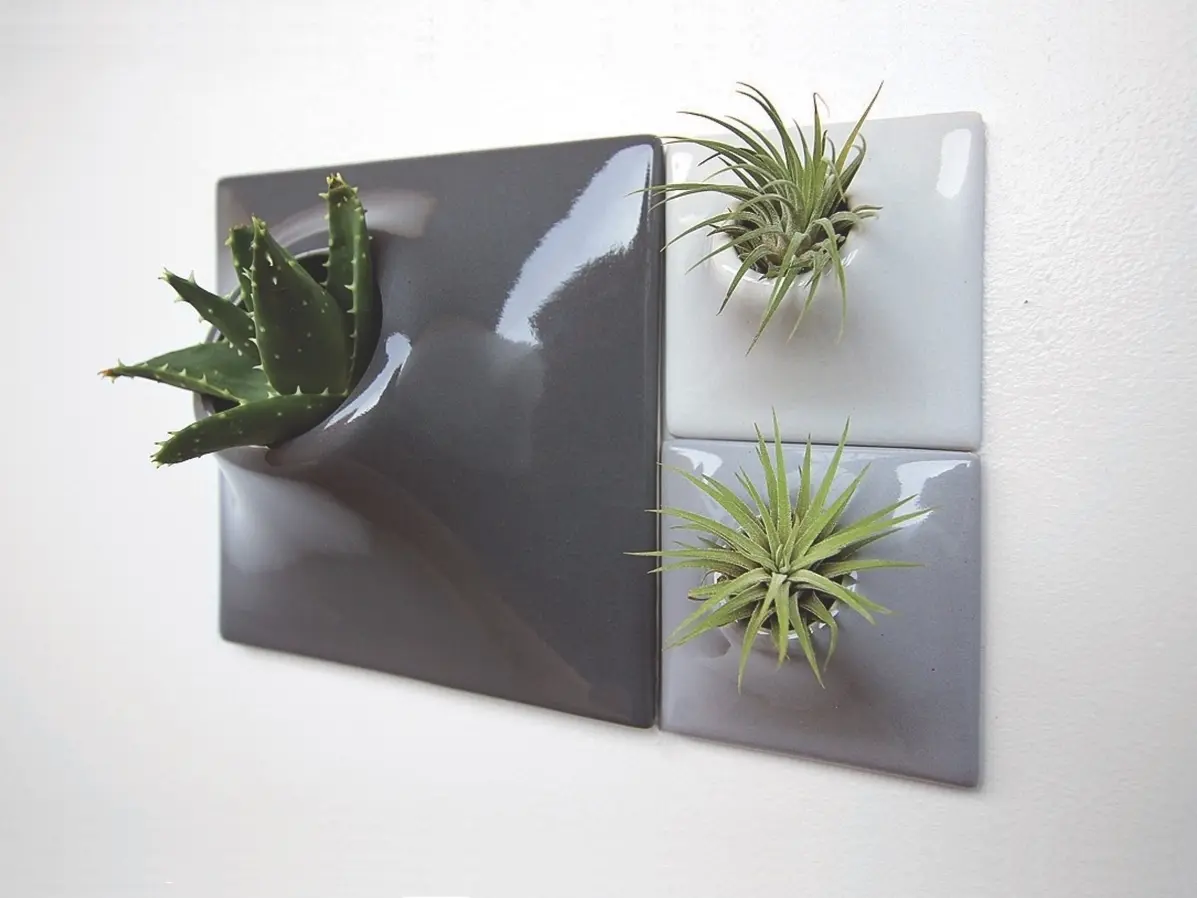 Arrangeable Wall Planters by David Rozek | Moss and Fog