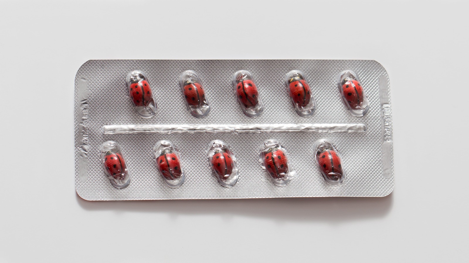 Ranking the 50 Best Holiday Movies of All Time Moss and Fog