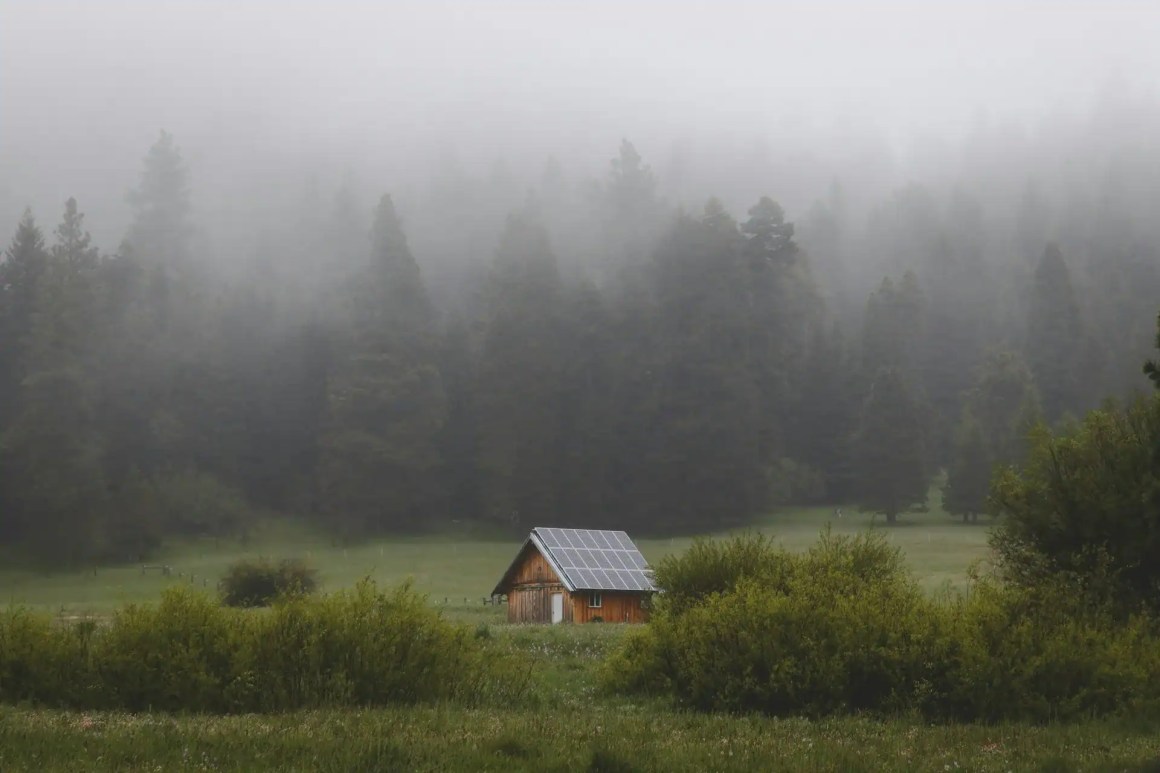 A small wooden cabin with solar panels situated in a misty forest landscape, surrounded by greenery and tall pine trees.